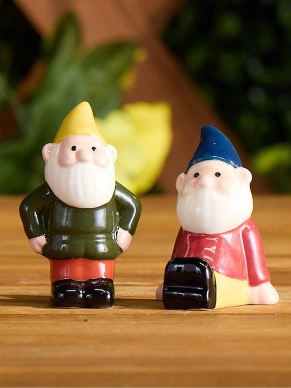 Mini Gnome Salt & Pepper Shakers